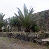 10-Pantelleria-EsternoFronte